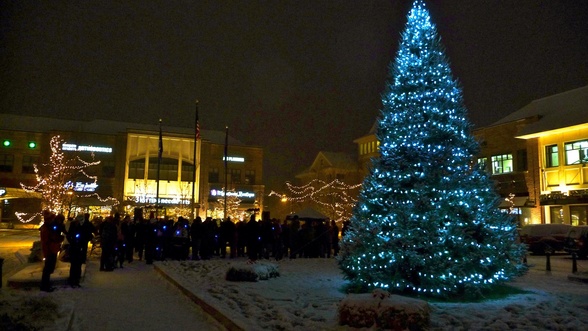 night photo of light holiday tree